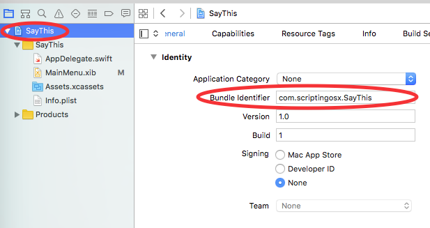 Project Information and Bundle Identifier